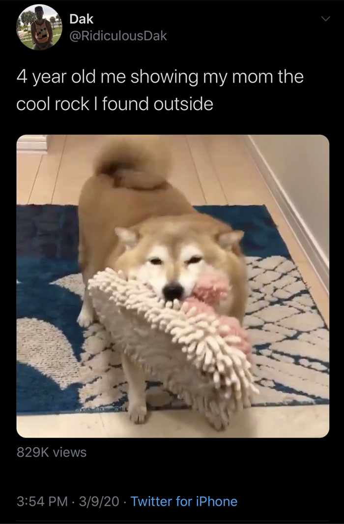 Shiba Inu holding a mop, resembling a funny animal meme about childhood excitement over small discoveries.