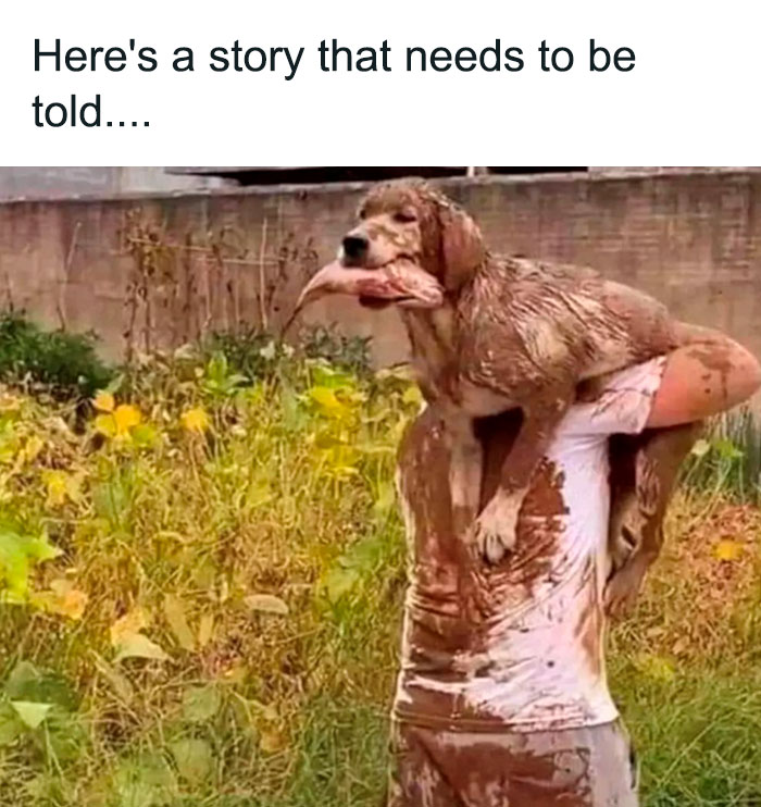 Muddy dog and person covered in mud, showcasing a funny animal meme with text suggesting a messy adventure.