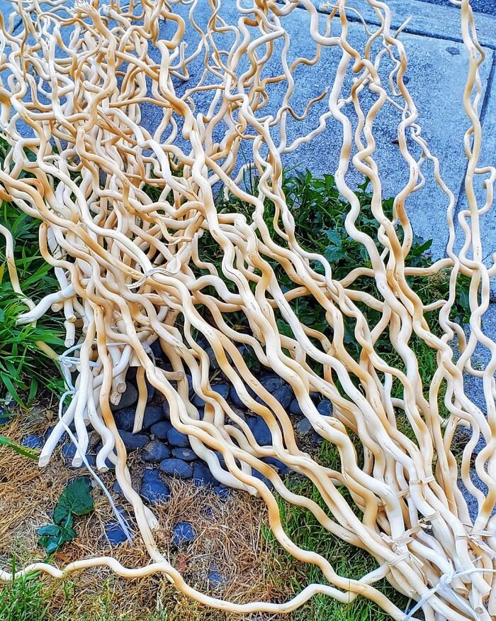 In Today's Art vs. Garbage: Forbidden Ramen