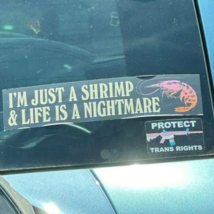 Shrimple Plan