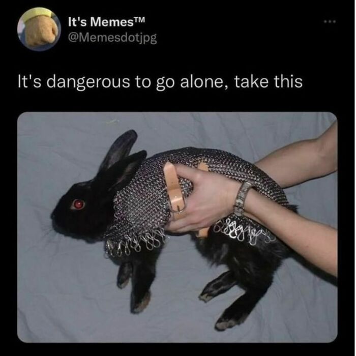 Joyful-Stories-Jokes-Buzzplusofficial