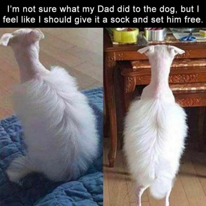 Joyful-Stories-Jokes-Buzzplusofficial