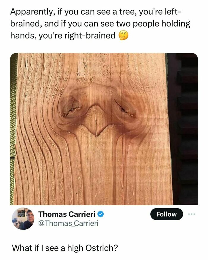 Funny-Memes-Mememanmyles