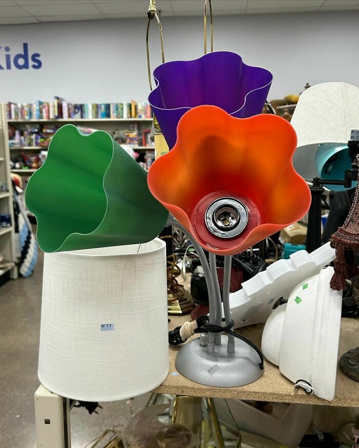 Nostalgic-Thrift-Store-Finds