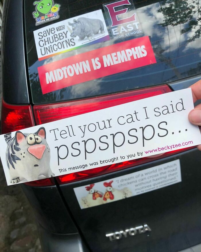 What Do You Think Of These Captions?