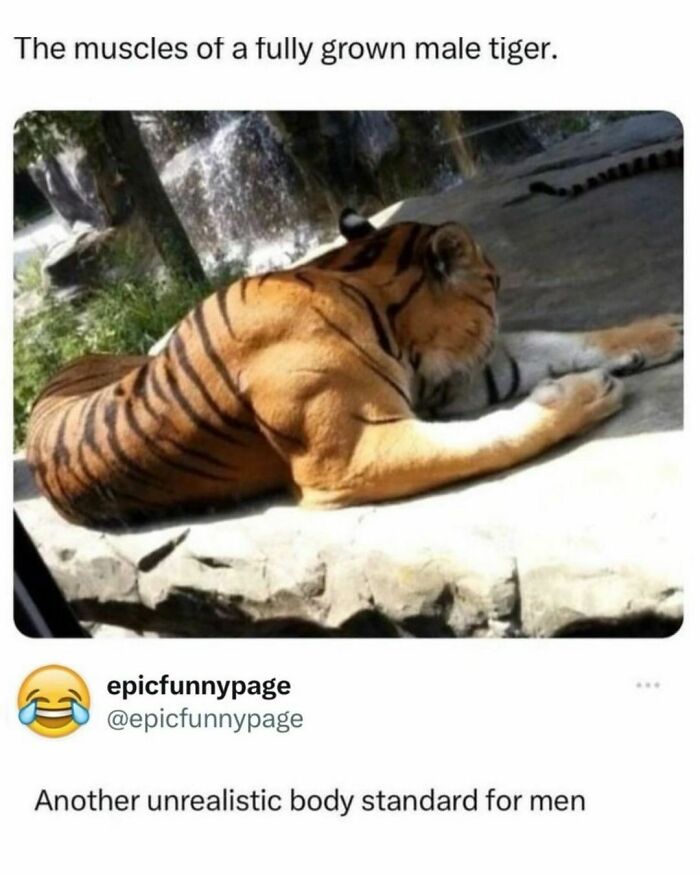 Epicfunnypage-Funny-Memes