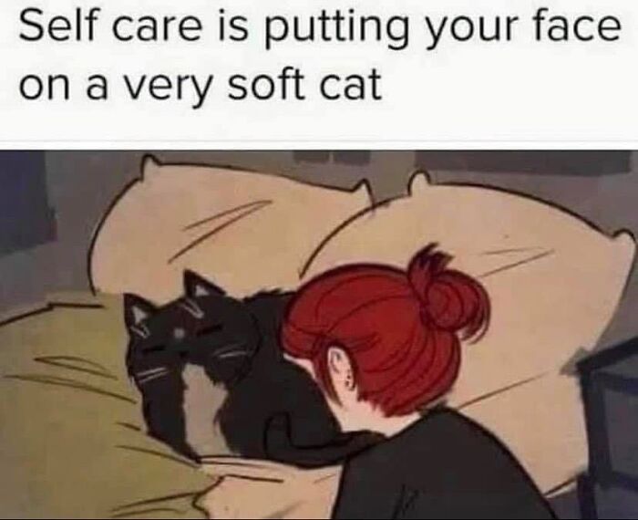 Cute-Cats-Pics-Jokes-Catsandsmiles