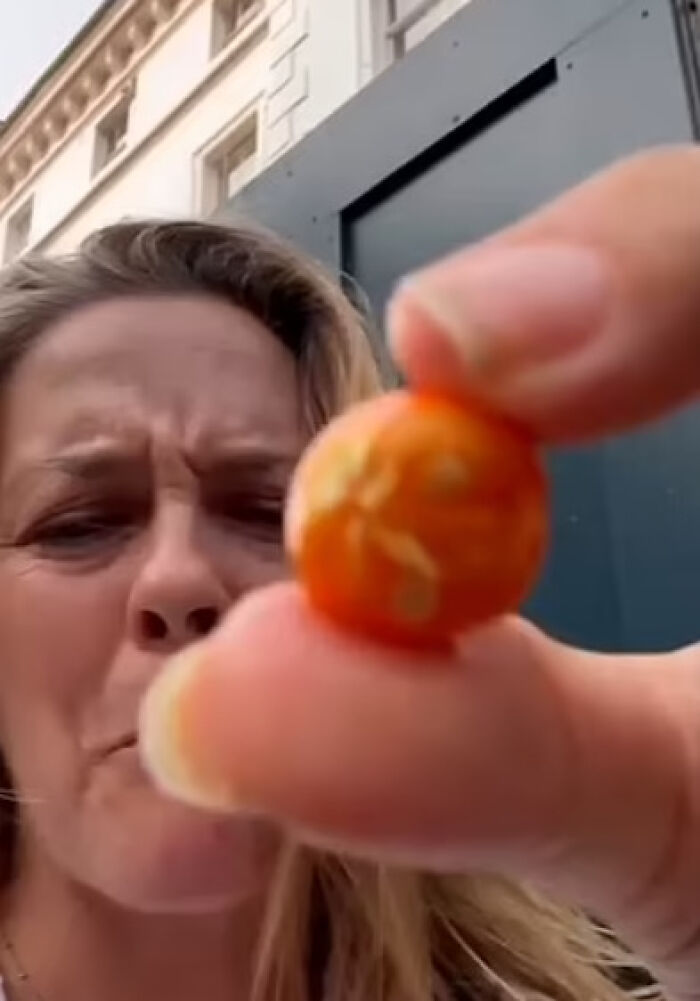 Alicia Silverstone Shares Health Update After Biting Into Poisonous Fruit