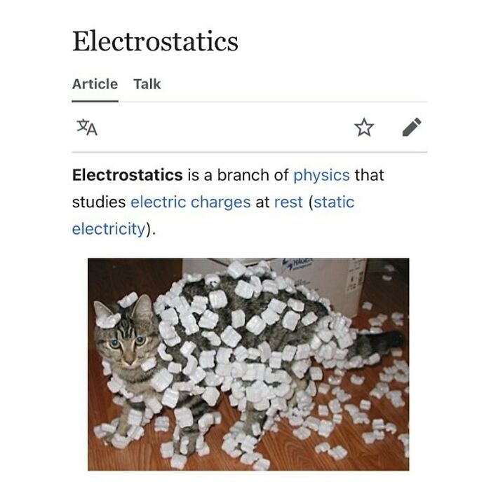 Weird-Funny-Wikipedia-Articles