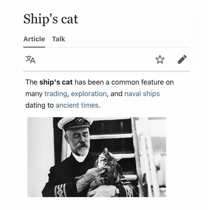 Weird-Funny-Wikipedia-Articles