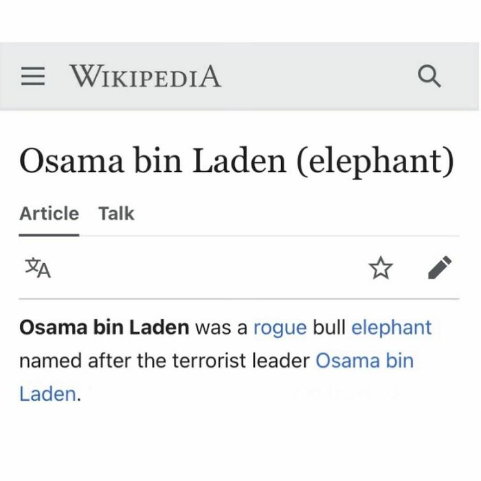 Weird-Funny-Wikipedia-Articles