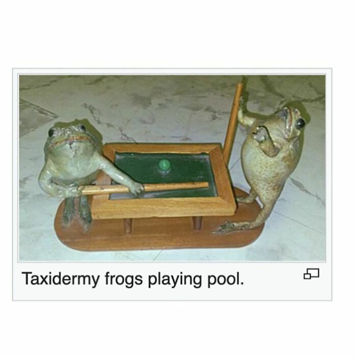 Weird-Funny-Wikipedia-Articles