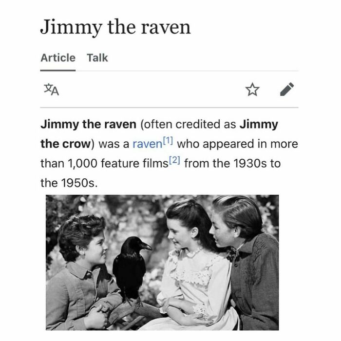 Weird-Funny-Wikipedia-Articles