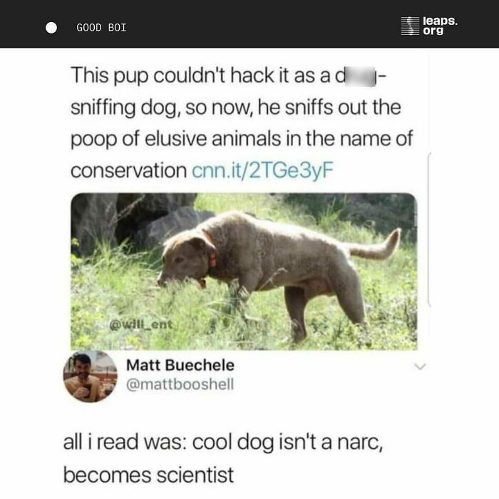 Good-News-Science-Makingsenseofscience