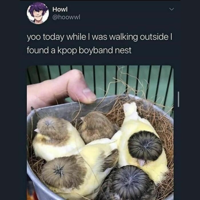 Joyful-Stories-Jokes-Buzzplusofficial