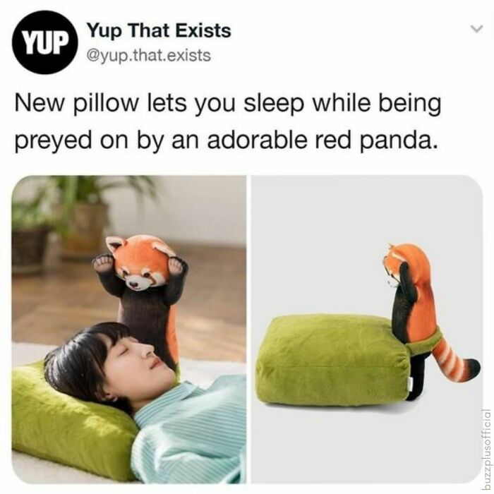 Joyful-Stories-Jokes-Buzzplusofficial