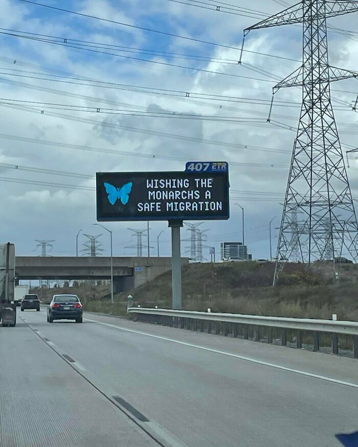 Highway sign with a blue butterfly display wishing monarchs a safe migration, a joyful and random pic on the road.