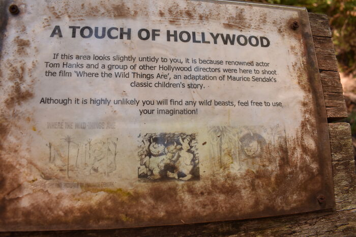 Along A Trail In Gilwel Scout Camp, Gembrook , Victoria