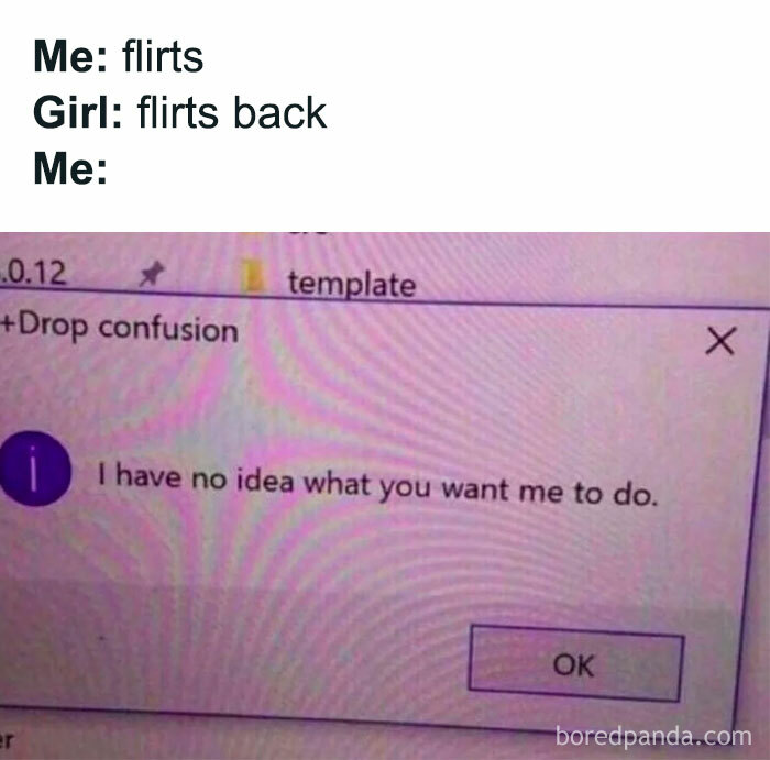 Flirty meme with a computer error message expressing confusion after flirting with a crush.