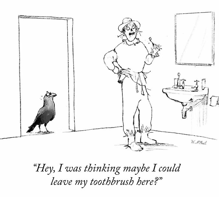 From Zoology To Zany Cartoons: Will Mcphail's Hilarious Journey To The New Yorker