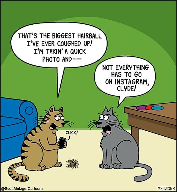 Funny Cat Comics By Scott Metzger That Might Make Every Cat Owner Cry With Laughter (New Pics)