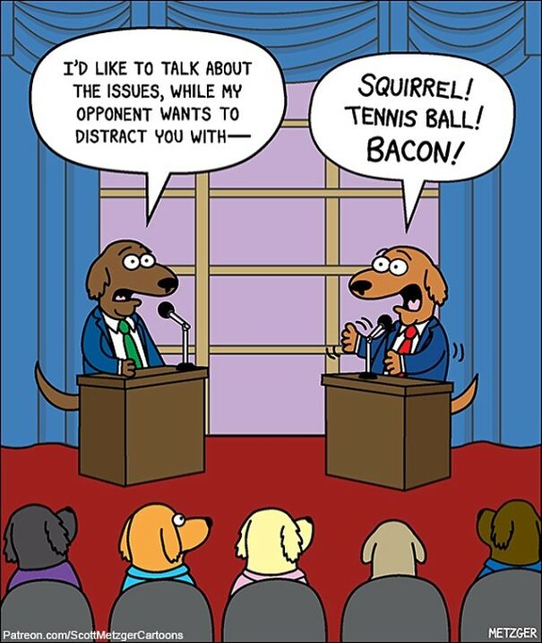 Funny Cat Comics By Scott Metzger That Might Make Every Cat Owner Cry With Laughter (New Pics)