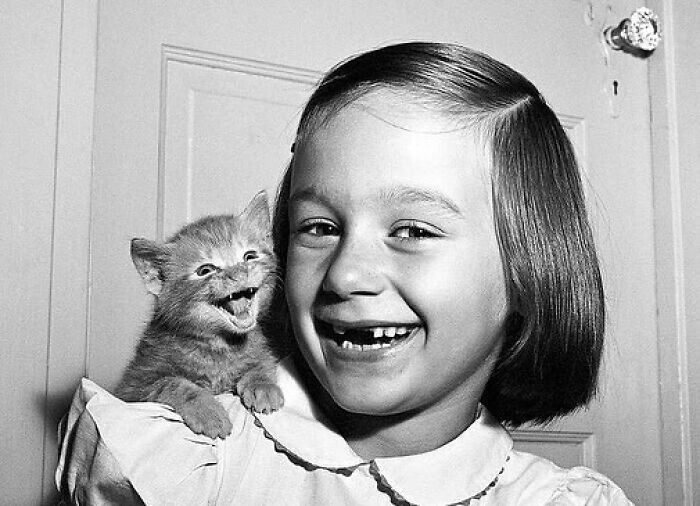 Here Are 44 Of The Most Interesting Images Selected By This Instagram Page