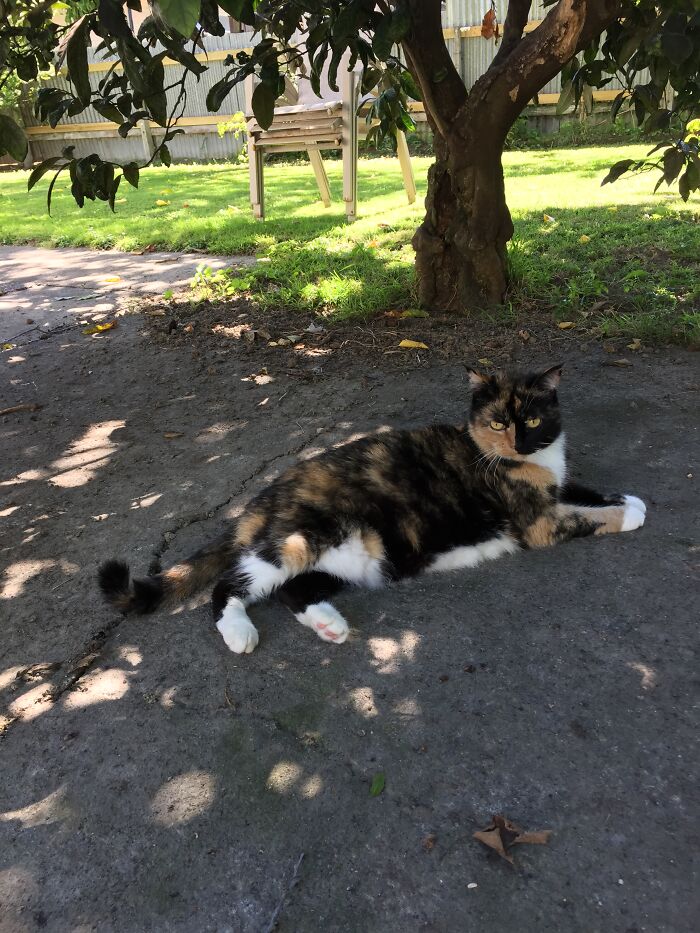 She Who Must Be Obeyed