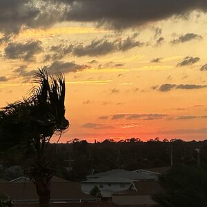 sierranyxhawk avatar