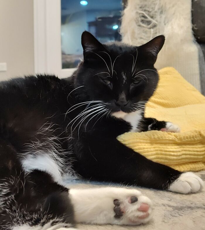 Salem Coming To Steal Your Girl