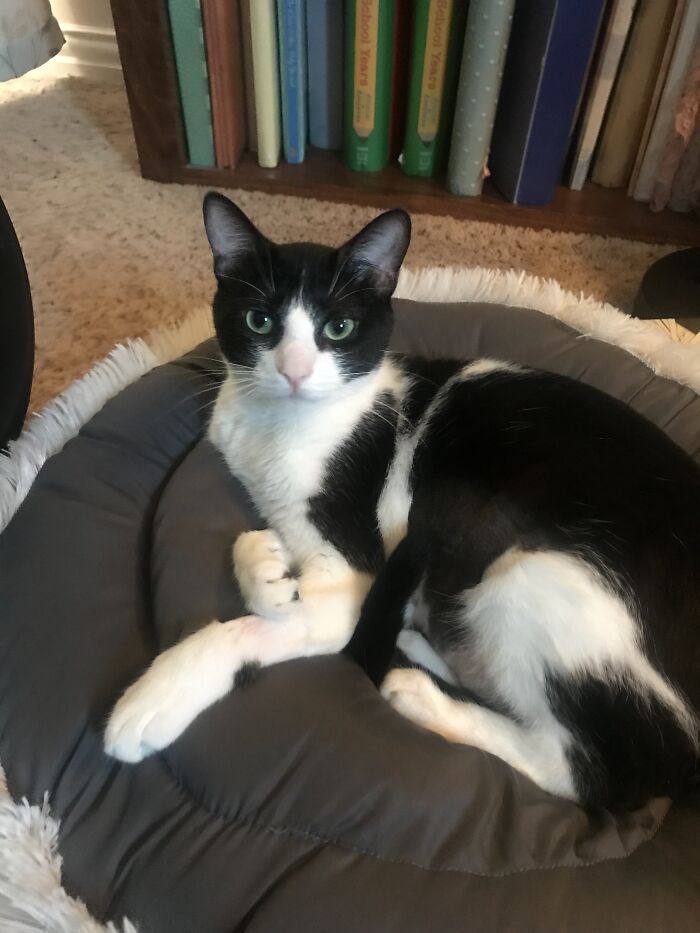 Master Edward Scissorhands