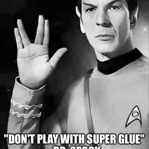 fionadrysdale avatar