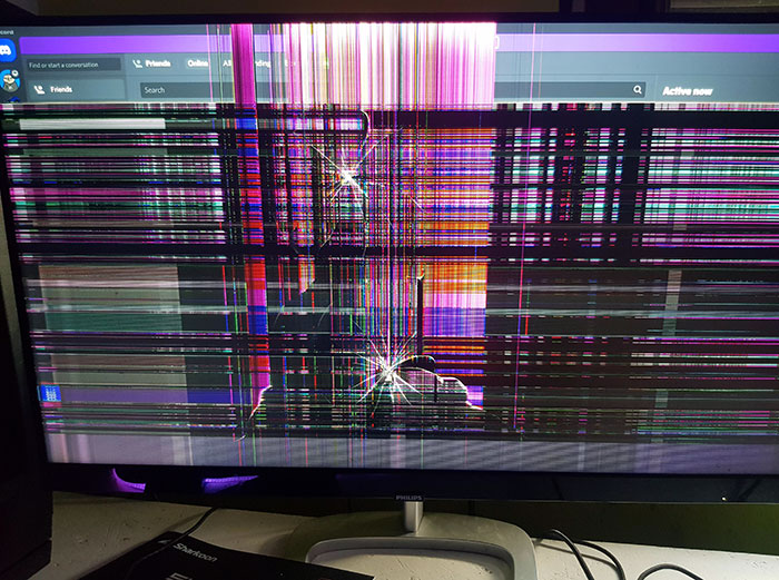 Mi madre destruyó mi pantalla porque mis perros la despertaron