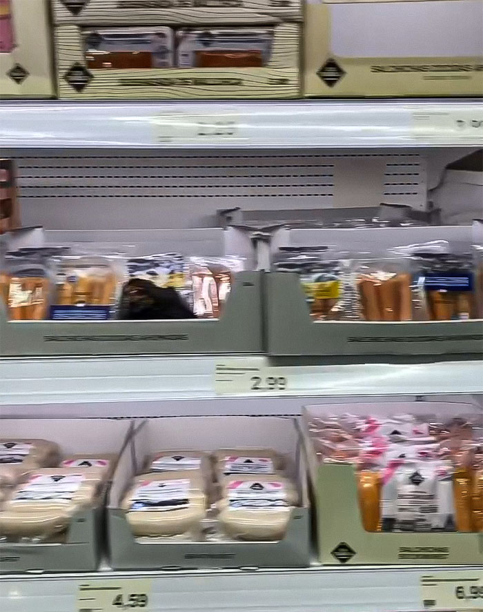 Joey Swoll Gets Woman Thrown Out Of Country For &ldquo;Disgusting&rdquo; Act In The Grocery Store