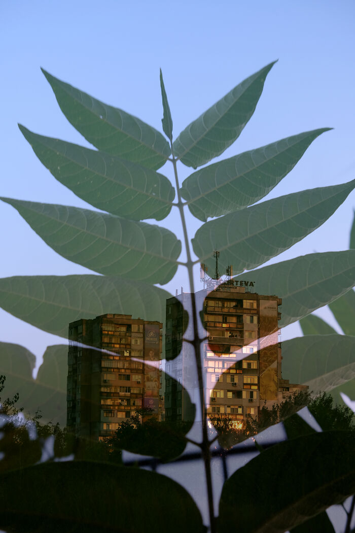 Merging Moments (2024)