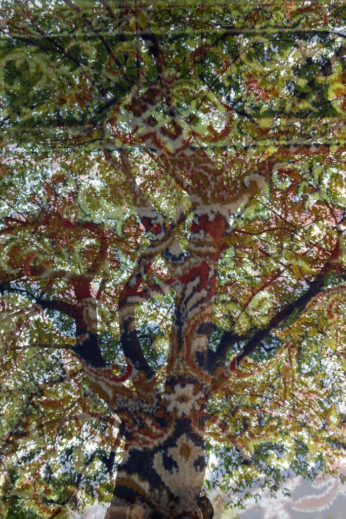 Merging Moments (2024)