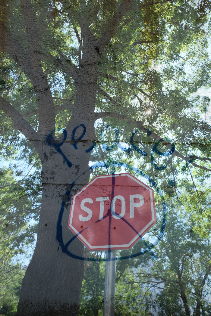 Merging Moments (2024)