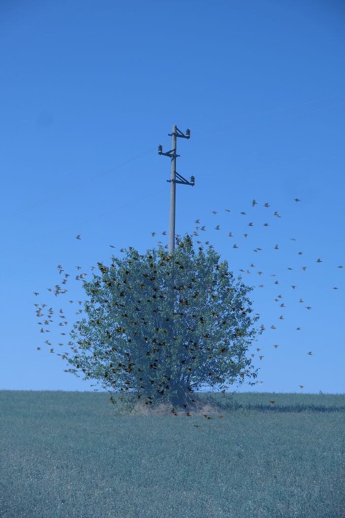 Merging Moments (2024)