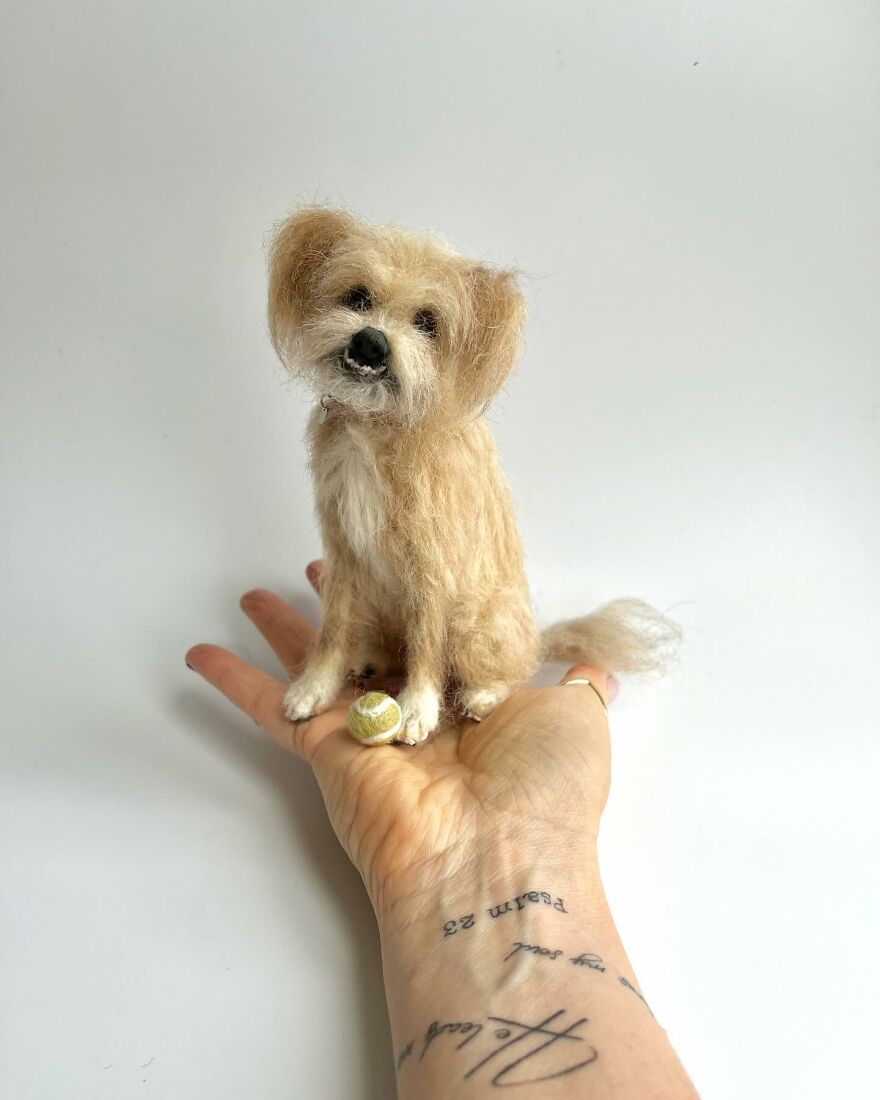 Needle-Felted Wonders: Curly Jo Hobbs Crafts Realistic Miniature Dogs And Donkeys