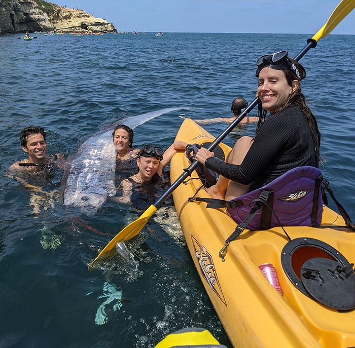 “Bad Omen”: Rare Sea Serpent Surfaces In San Diego Waters, Linked To Earthquake Legend “Bad Omen”: Rare Sea Serpent Surfaces In San Diego Waters, Linked To Earthquake Legend