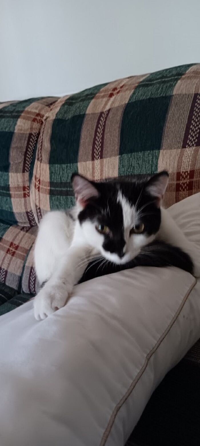 Mine!!! Don't Touch!