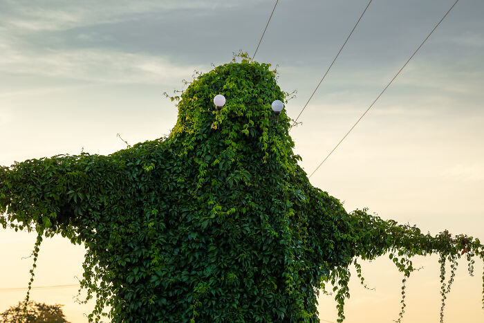 I Took Pictures Of A Mysterious Creature From The Opole Province