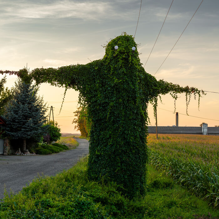 I Took Pictures Of A Mysterious Creature From The Opole Province