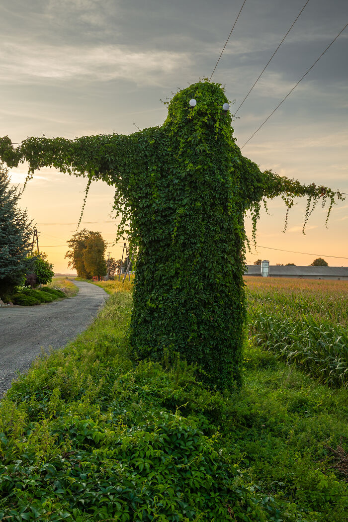 I Took Pictures Of A Mysterious Creature From The Opole Province