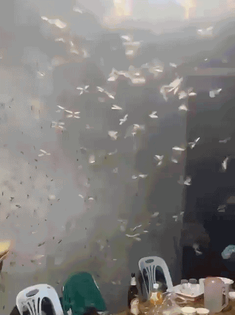 "I would not be laughing If I were in this situation" - Green_Street_7