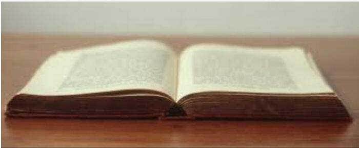 Hey Pandas! Here's The First Few Chapters Of The 1st Chapter Of My Book! Hey Pandas! Here's The First Few Chapters Of The 1st Chapter Of My Book!