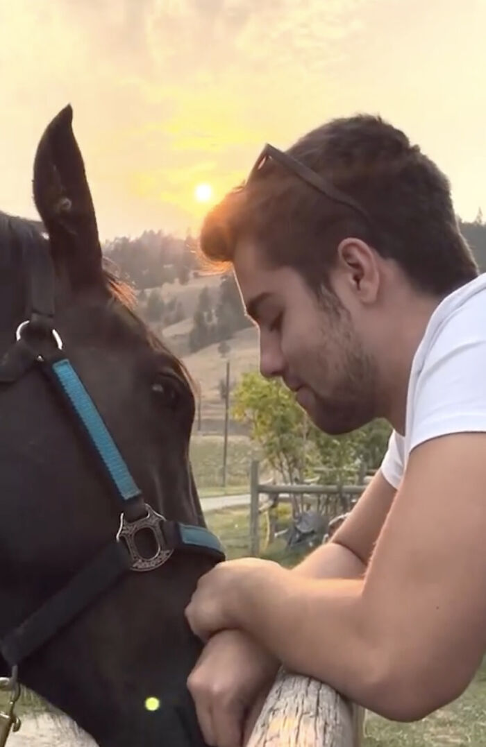 A Special Bond Between A Rescue Horse And His Owner&rsquo;s Fianc&eacute; Is Melting Hearts On The Internet