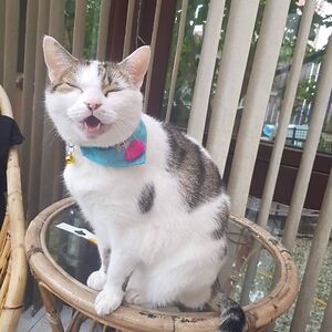 poisonivy0748 avatar