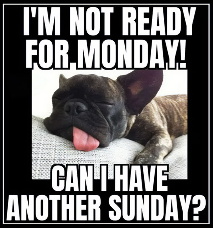 A sleepy dog lying down with the text "I'm not ready for Monday! Can I have another Sunday?" emphasizing Sunday memes.