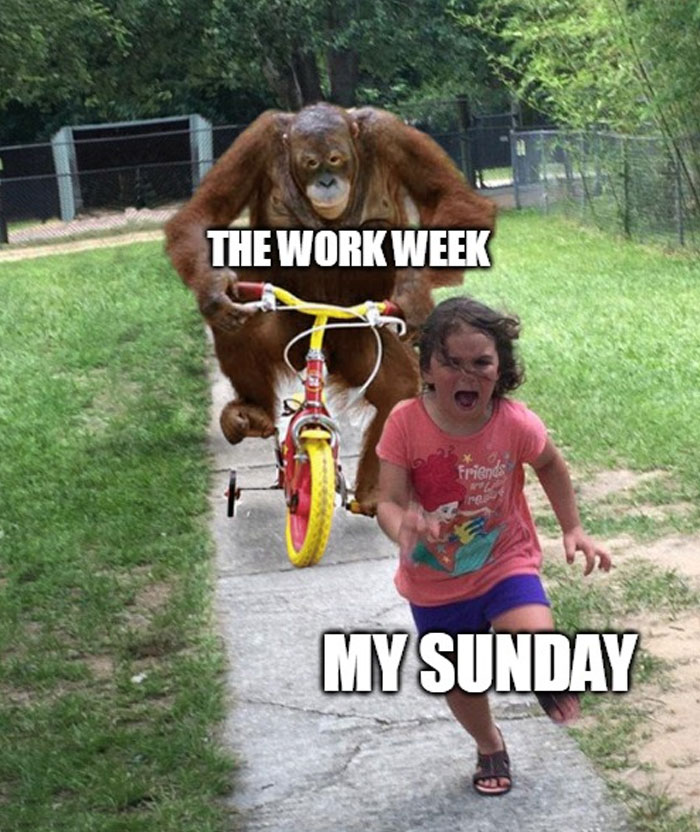 Child running from orangutan on bike, labeled "The Work Week" and "My Sunday." Perfect Sunday meme humor.